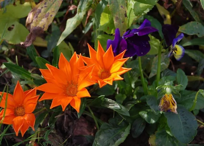 Apartmán Patakporta